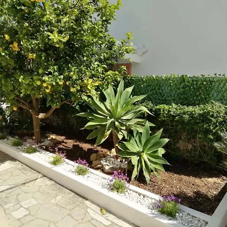 Casa Do Amor